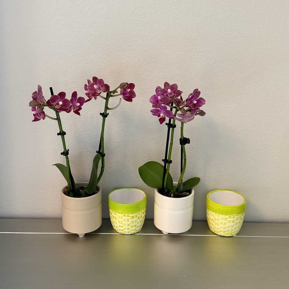 4 Mini Flower Pots